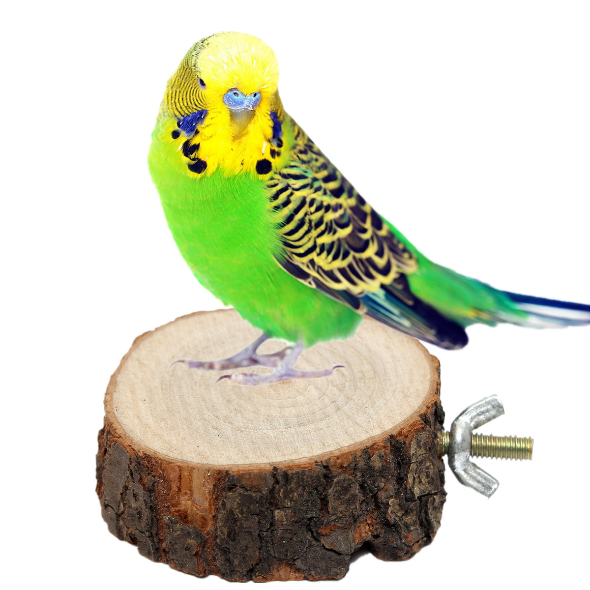 Parrot Pet Bird Chew Toy Wooden Hanging ...