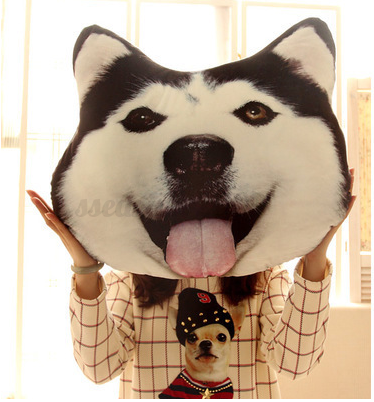 samoyed cushion