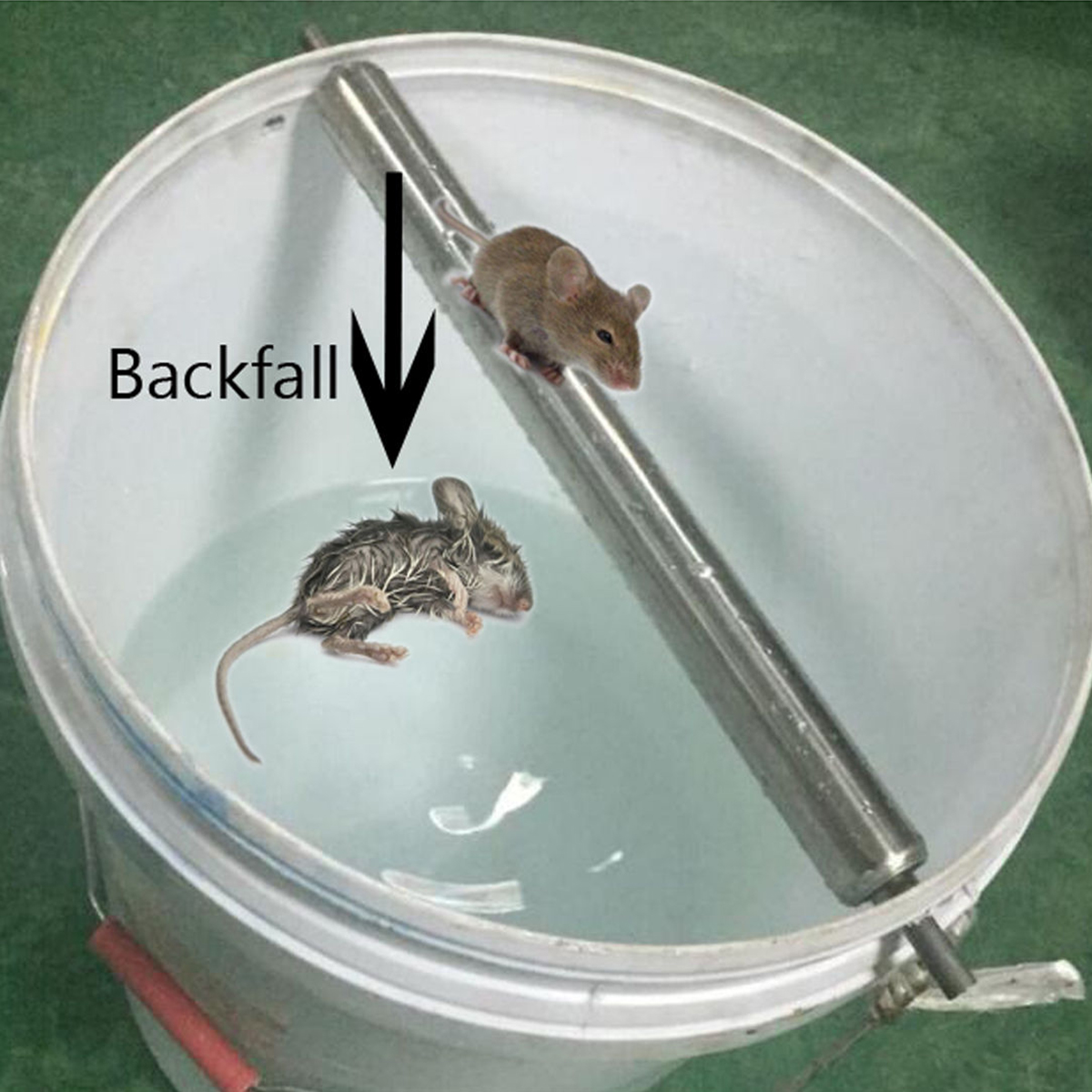 sharpshooter rat trap
