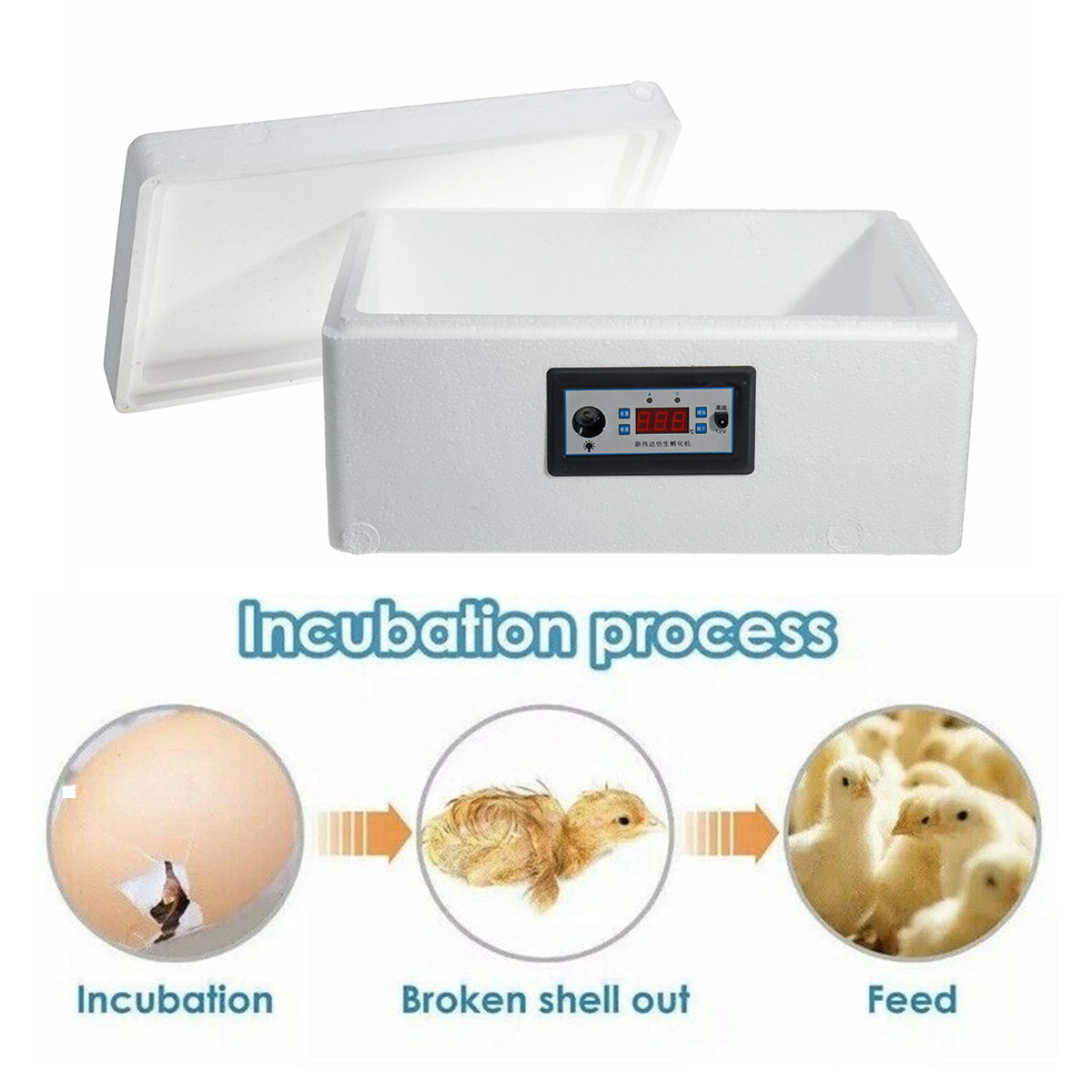 incubator for chicken eggs temperature