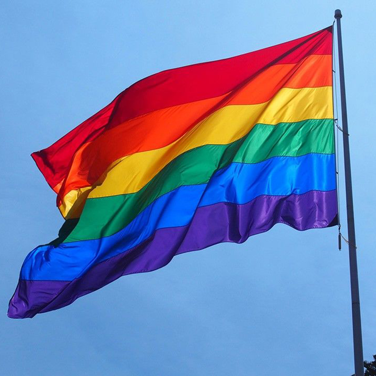 Gay flag changed