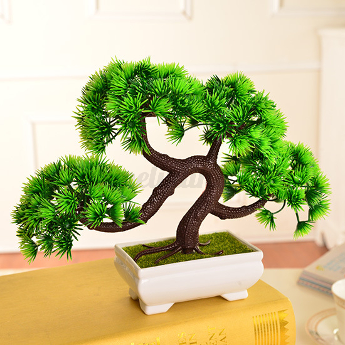  Bonsai Tree For Desk  Don t miss out 